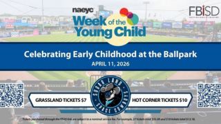 Sugar Land Cowboys graphic image